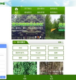 南县播绿者苗木种植专业合作社-南县水杉|南县池衫|南县落羽杉