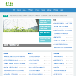 无花果网  无花果电子商务平台 无花果干 china fig Ficus carica Linn.