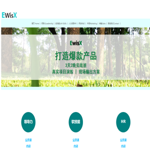 EwisX面向职业人士的公开课-EwisX-E维思