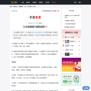 小米金融是哪个国家的品牌？ - 消费金融行业十大品牌 | 外推电报